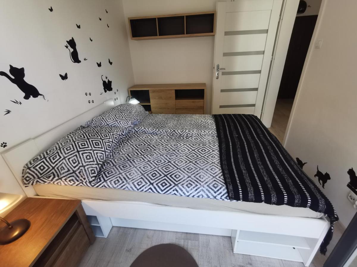 דירות קולובז'ג Apartament Julia מראה חיצוני תמונה